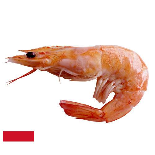 Креветки из Индонезии