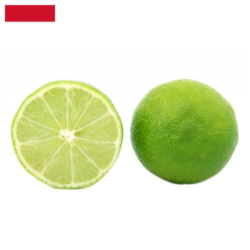 лайм из Индонезии