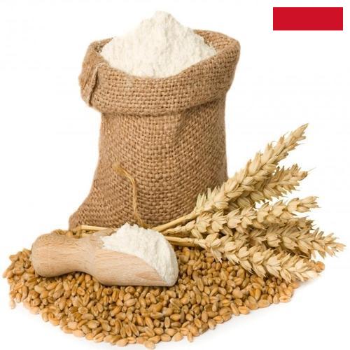 мука пшеничная хлебопекарная из Индонезии