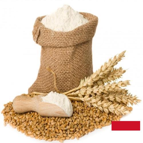 мука пшеничная первый сорт из Индонезии