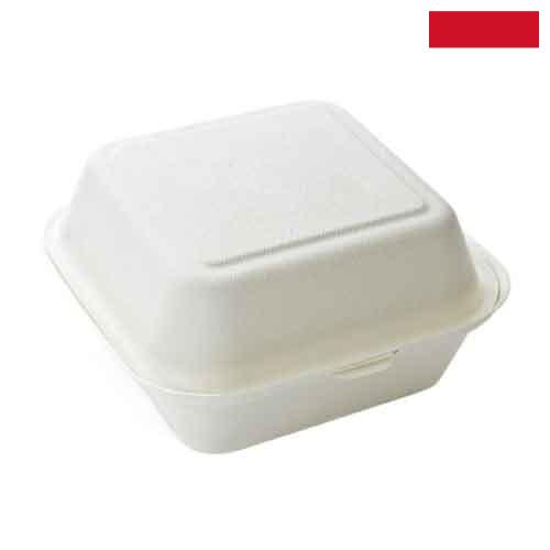 Одноразовые контейнеры из Индонезии