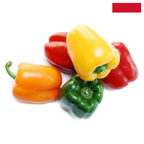 перец болгарский свежий из Индонезии