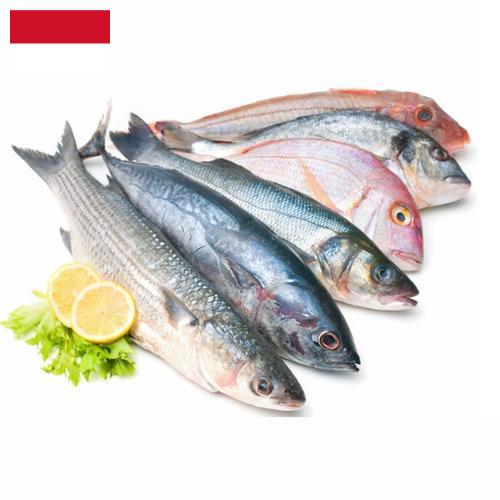 рыба и морепродукты из Индонезии