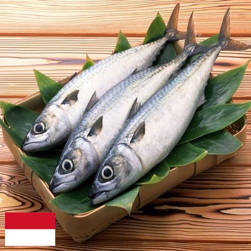 рыба свежая из Индонезии