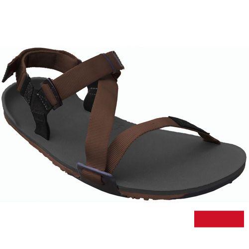 Сандалии мужские из Индонезии