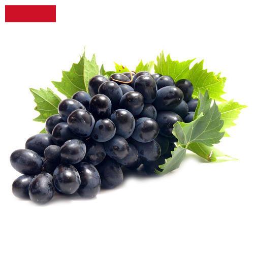 Виноград из Индонезии