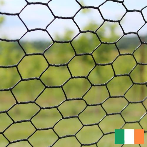 Аксессуары рыболовные из Ирландии