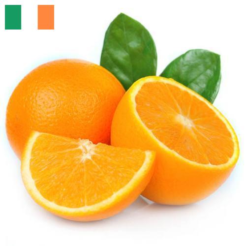 Апельсины из Ирландии