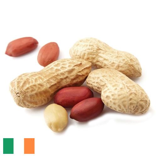 арахис очищенный из Ирландии