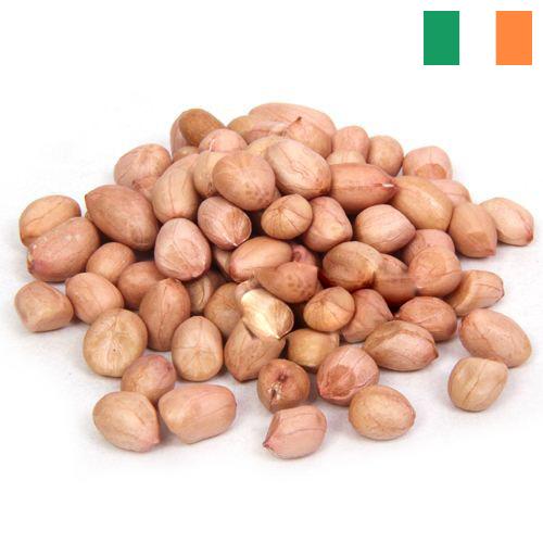 арахис сырой из Ирландии