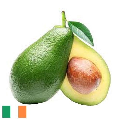 Авокадо из Ирландии