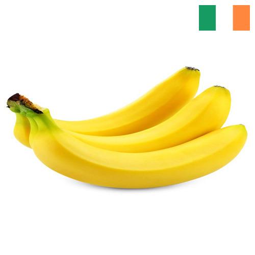 Бананы из Ирландии