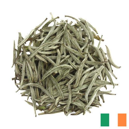 Белый чай из Ирландии