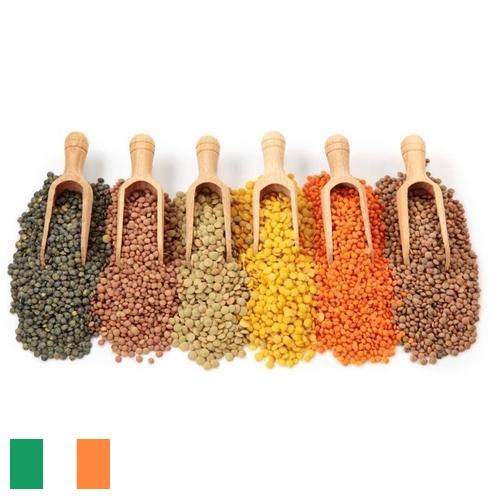 Бобовые культуры из Ирландии