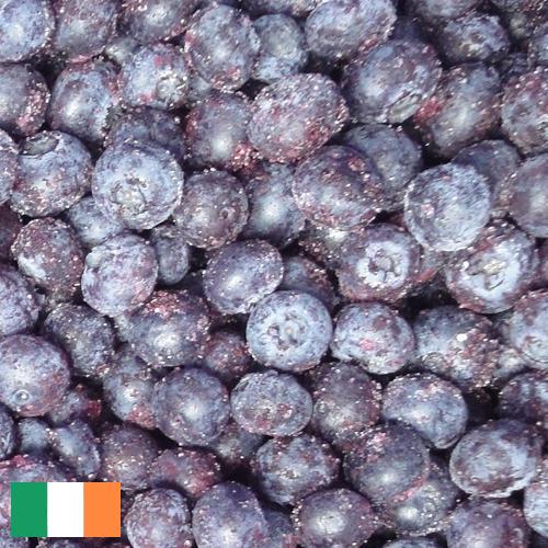 черника замороженная из Ирландии