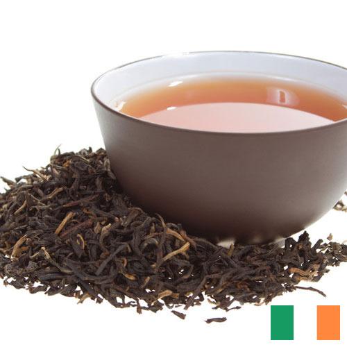 Черный чай из Ирландии