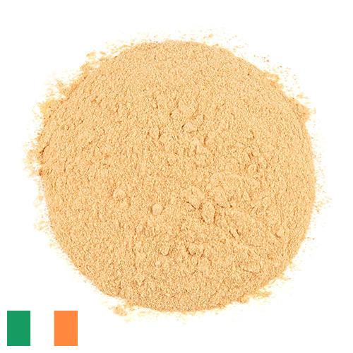 чеснок порошок из Ирландии