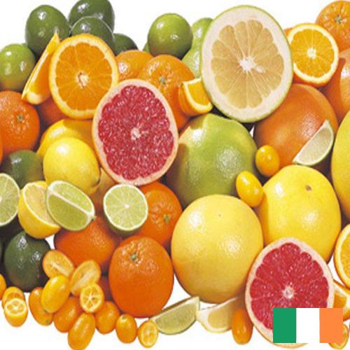 Цитрусовые фрукты из Ирландии