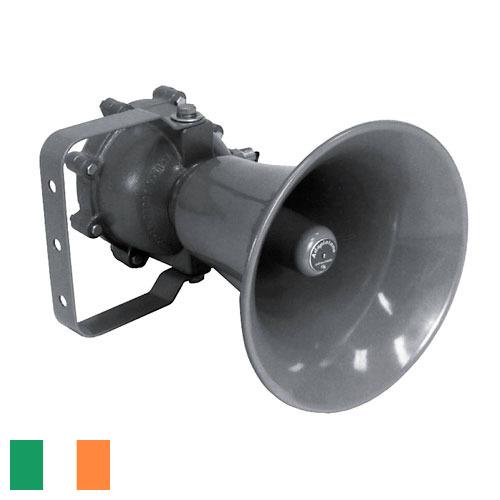 Динамик из Ирландии