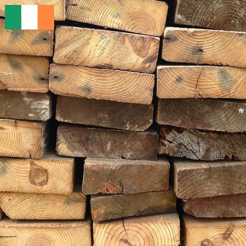 Древесина из Ирландии