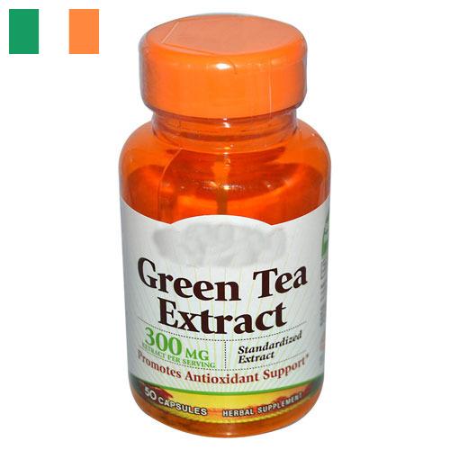 экстракт зеленого чая из Ирландии