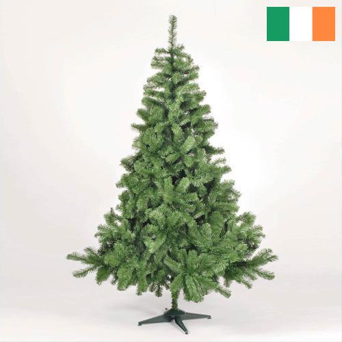 Елки искусственные новогодние из Ирландии