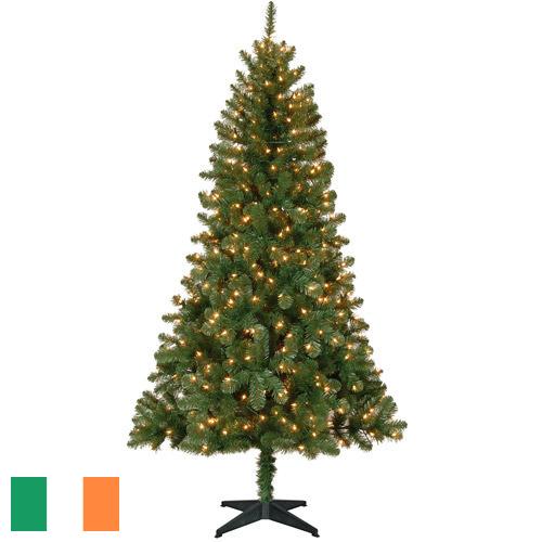 Елки новогодние из Ирландии