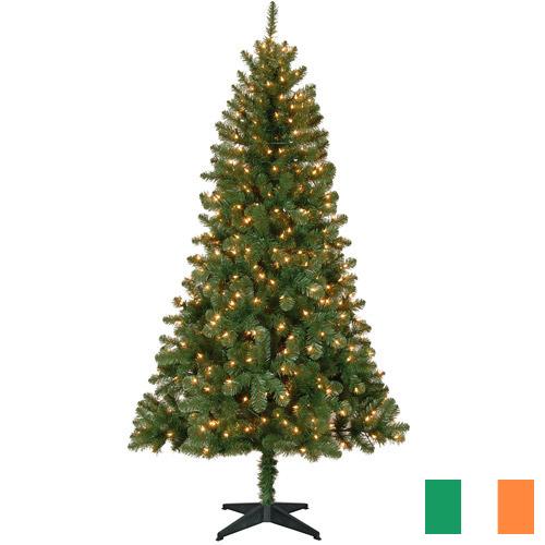 елки из Ирландии