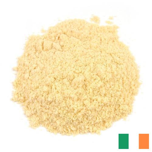 Горчичный порошок из Ирландии