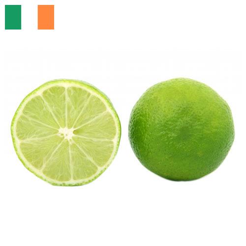 Известь из Ирландии