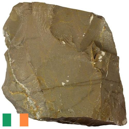 Известняк из Ирландии