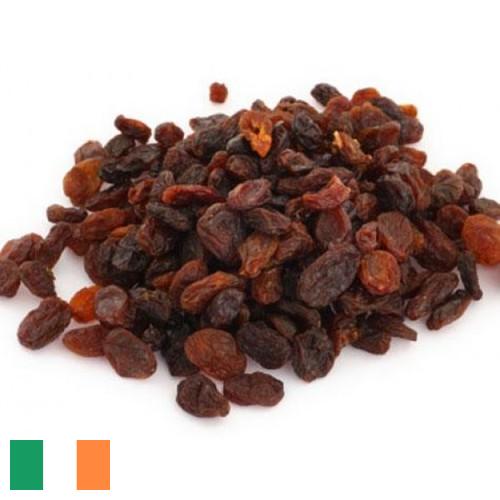 Изюм из Ирландии