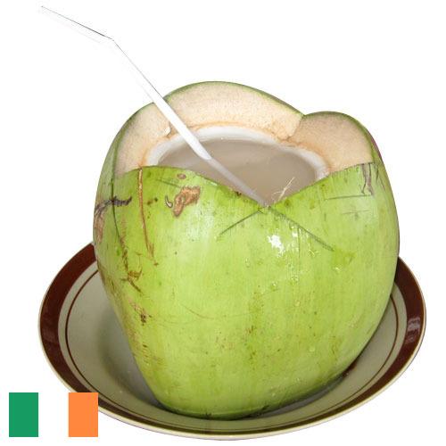 кокосовая вода из Ирландии