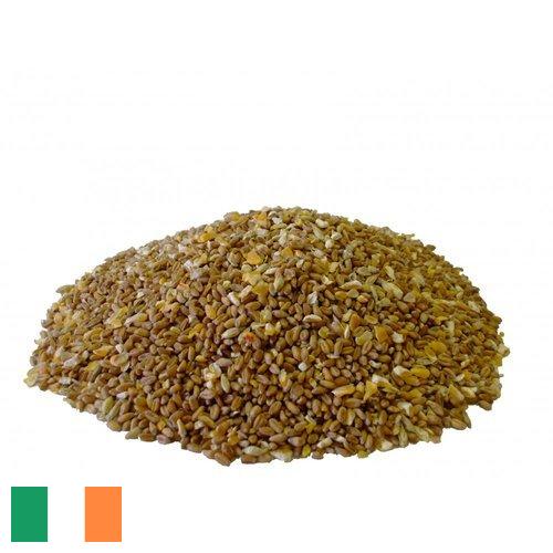 Корма для птицеводства из Ирландии