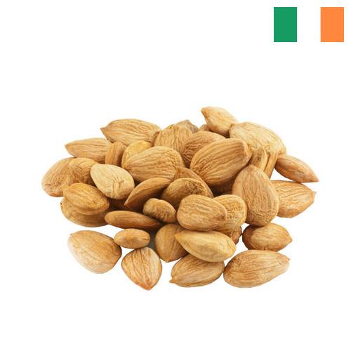 косточки абрикоса из Ирландии