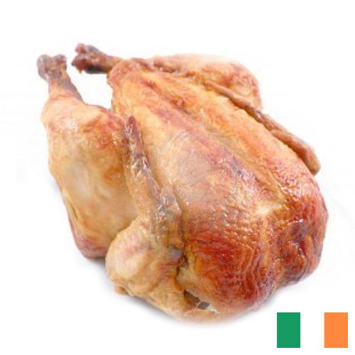 Кура из Ирландии