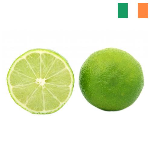 лайм из Ирландии