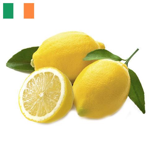 лимон свежий из Ирландии