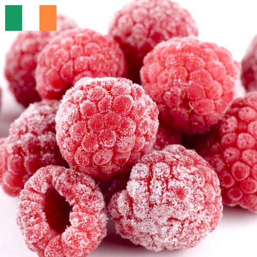 малина замороженная из Ирландии