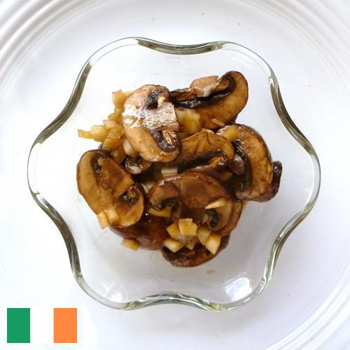 Маринованные грибы из Ирландии