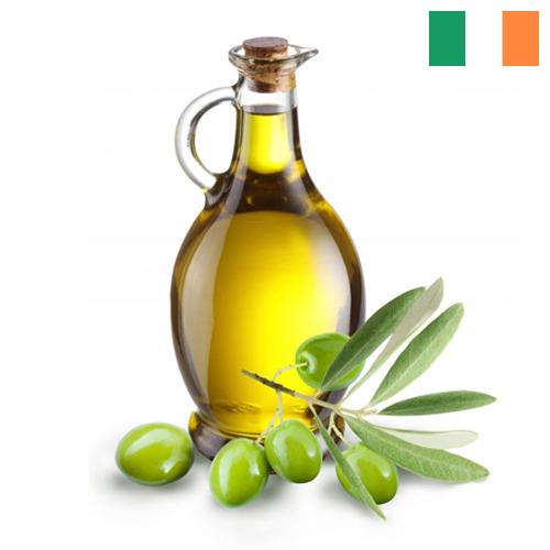 Масло оливковое из Ирландии
