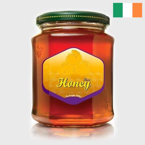 мед натуральный из Ирландии