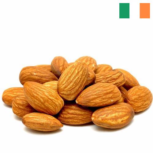 Миндаль из Ирландии