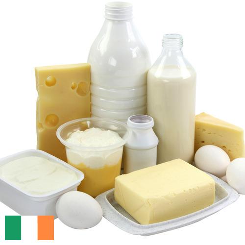 Молочная продукция из Ирландии