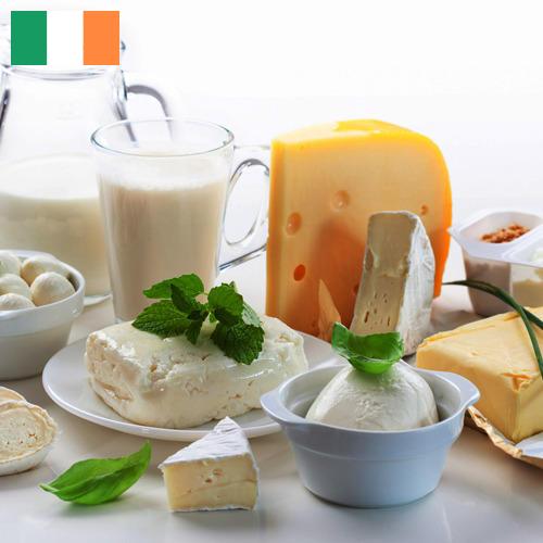 Молочные продукты из Ирландии