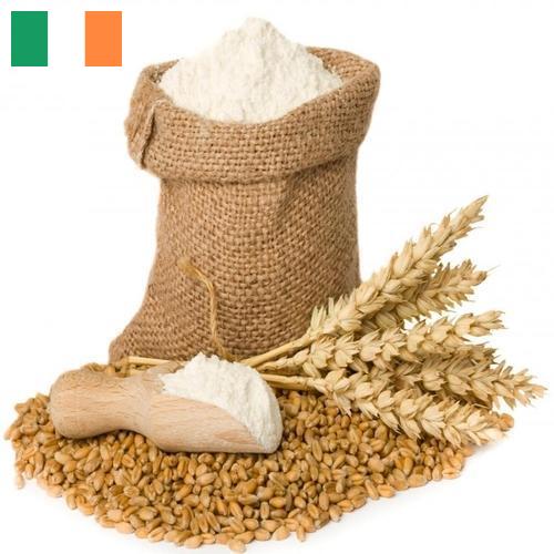 мука пшеничная высший из Ирландии