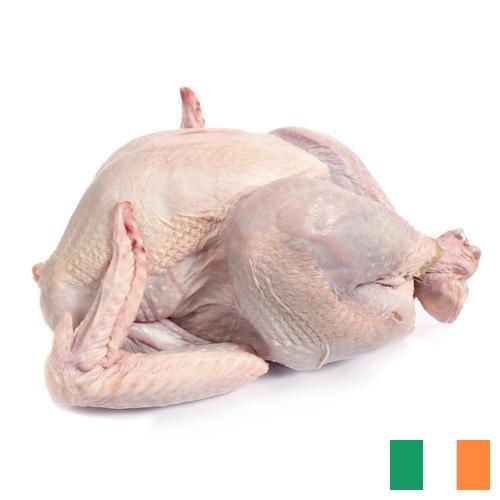 Мясо индейки из Ирландии