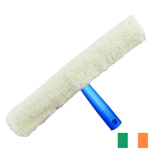 Окномойка из Ирландии