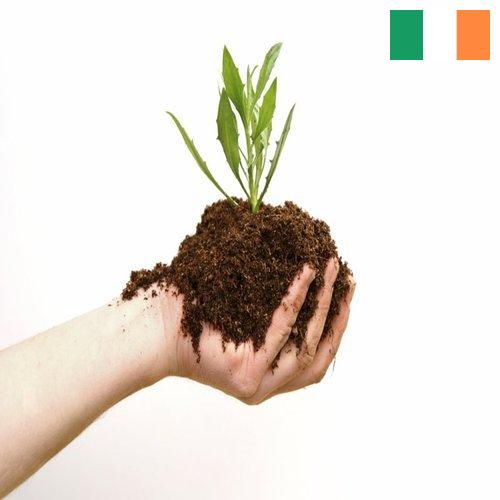 Органические удобрения из Ирландии