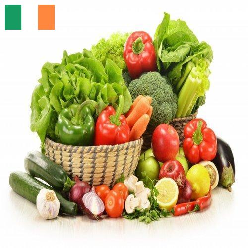 Овощи свежие из Ирландии